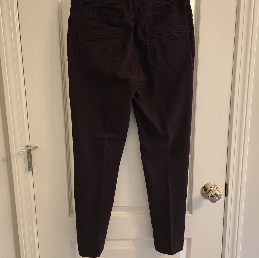 Democracy burgundy pants